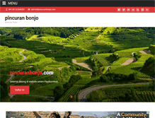 Tablet Screenshot of pincuranbonjo.com